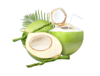 360_F_527272243_4NSe6jZY958IMoDj8LN7qAqiAA140VPi-removebg-preview