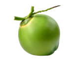 fresh-green-coconut-on-transparent-background-free-png-removebg-preview